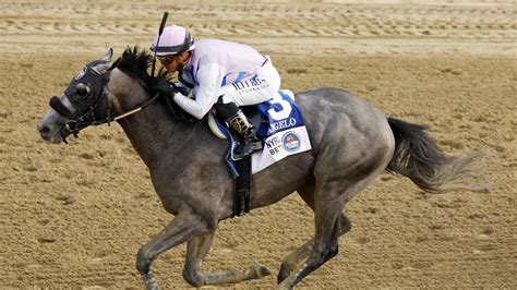 fast results racing post|Arcangelo's late push earns win in 155th Belmont Stakes.
